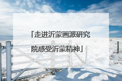 走进沂蒙画派研究院感受沂蒙精神